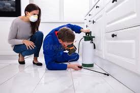 Best Pest Exclusion Services  in North Baltimore, OH